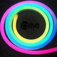 Silicon waterproof IP68 digital ws2812b pixel 24v 12v color changing addressable rope strip light rgb rgbw dmx led neon flex